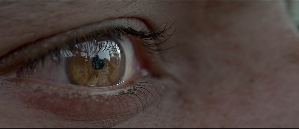 Haider（原題）の画像