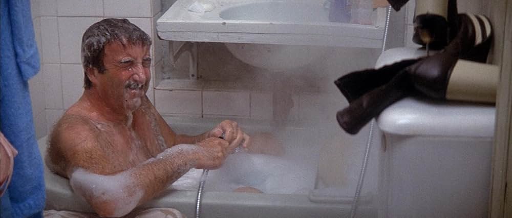 ピンク・パンサー2の画像