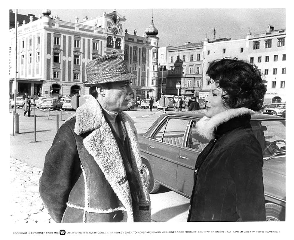 殺しの許可証の画像