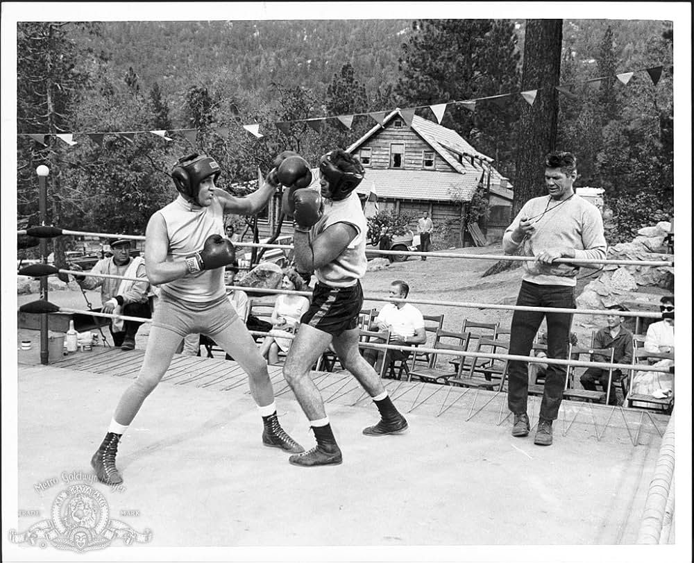 恋のKOパンチの画像