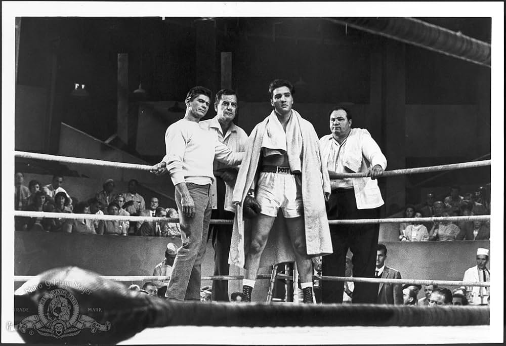 恋のKOパンチの画像