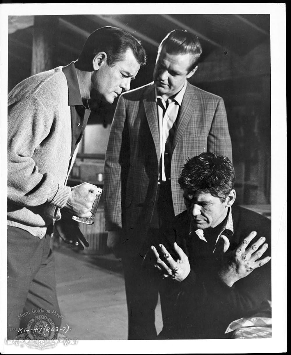 恋のKOパンチの画像