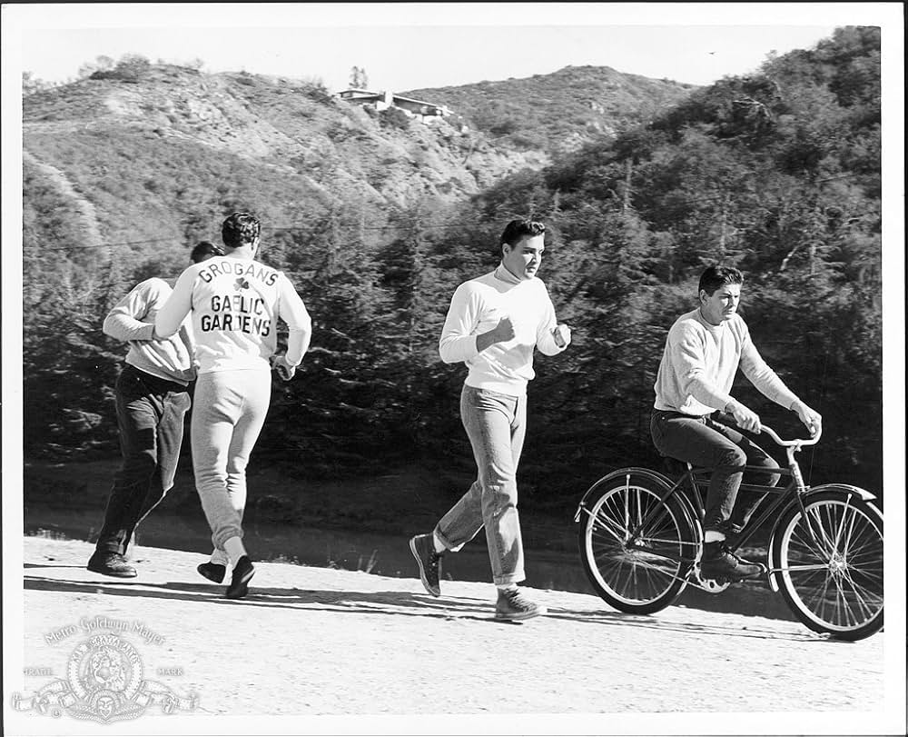 恋のKOパンチの画像