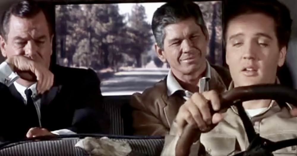 恋のKOパンチの画像