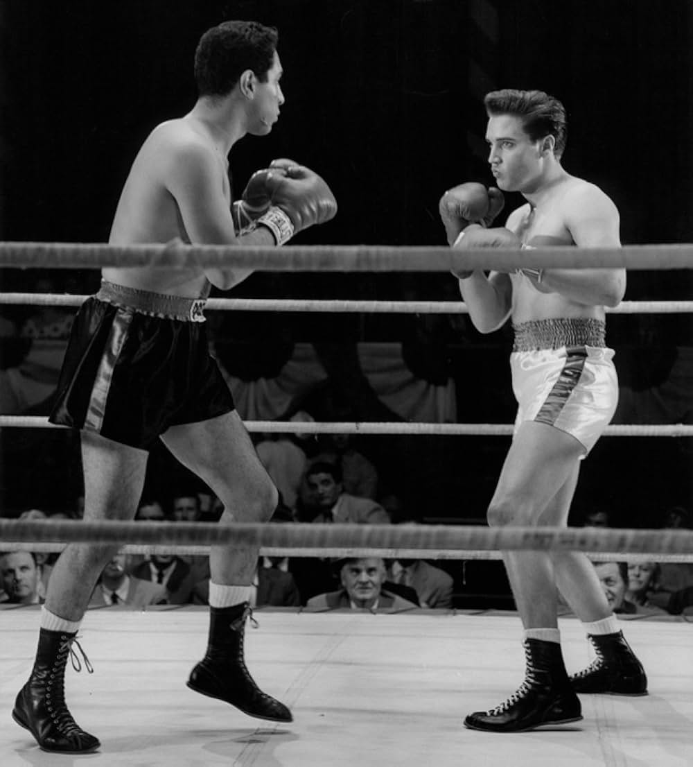 恋のKOパンチの画像