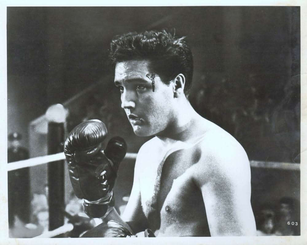 恋のKOパンチの画像