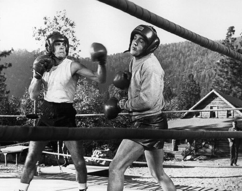 恋のKOパンチの画像