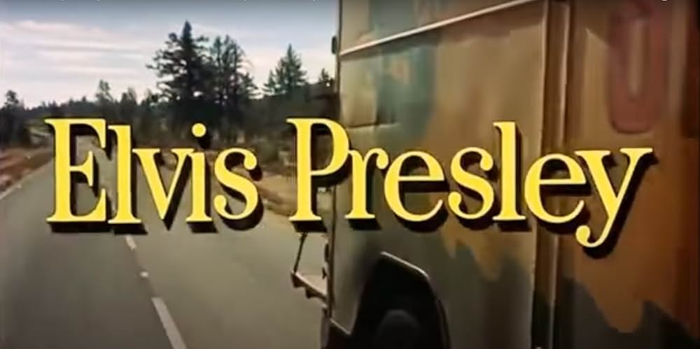 恋のKOパンチの画像