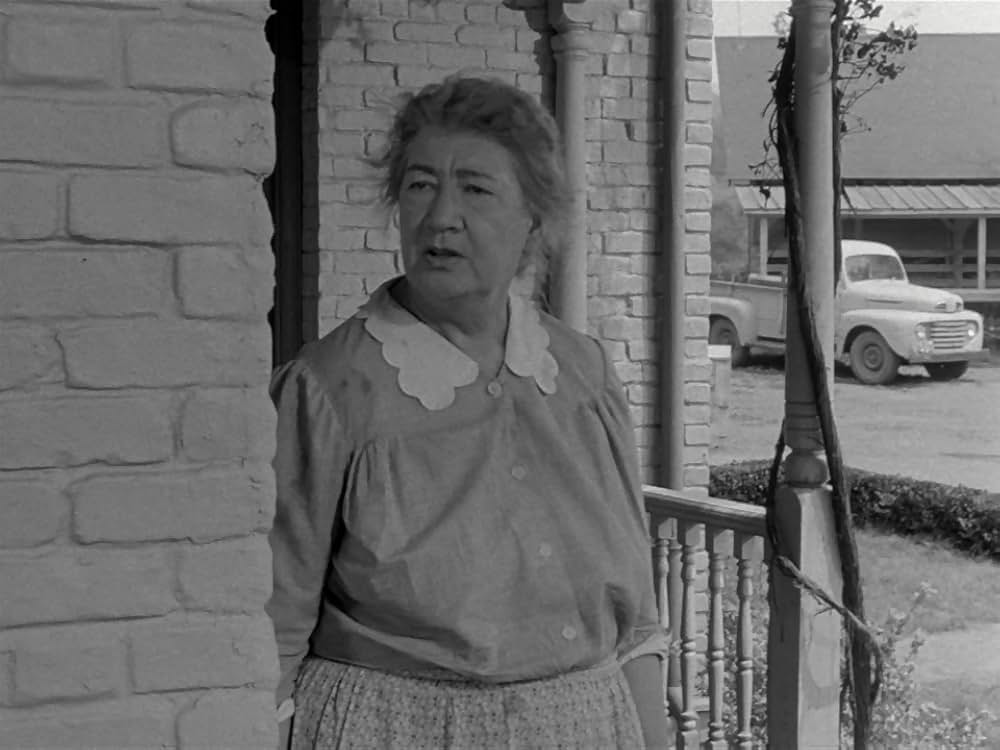 うわさの名医の画像