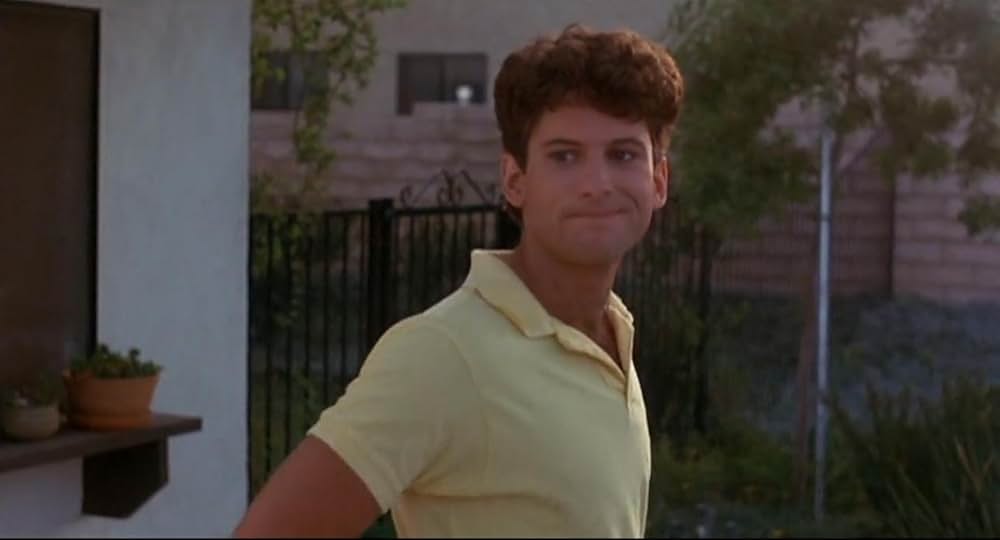 ヴァレー・ガールの画像