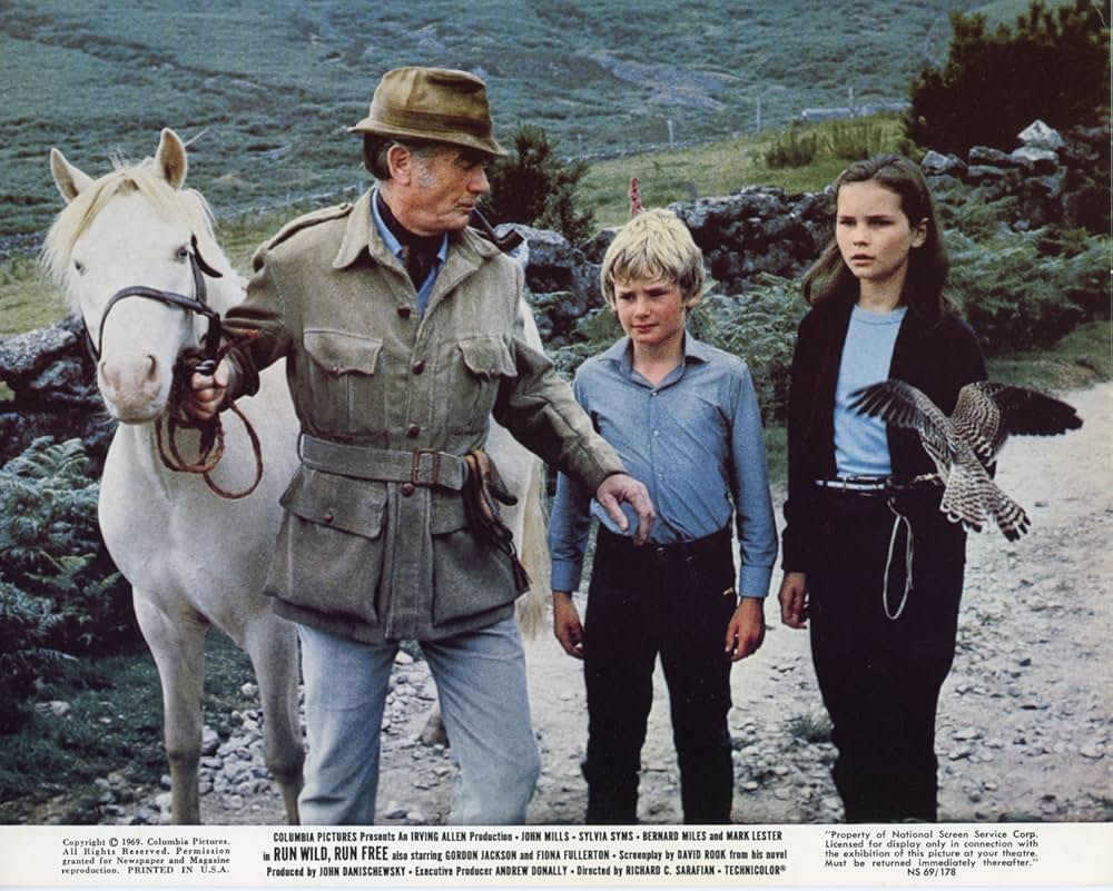 野にかける白い馬のようにの画像