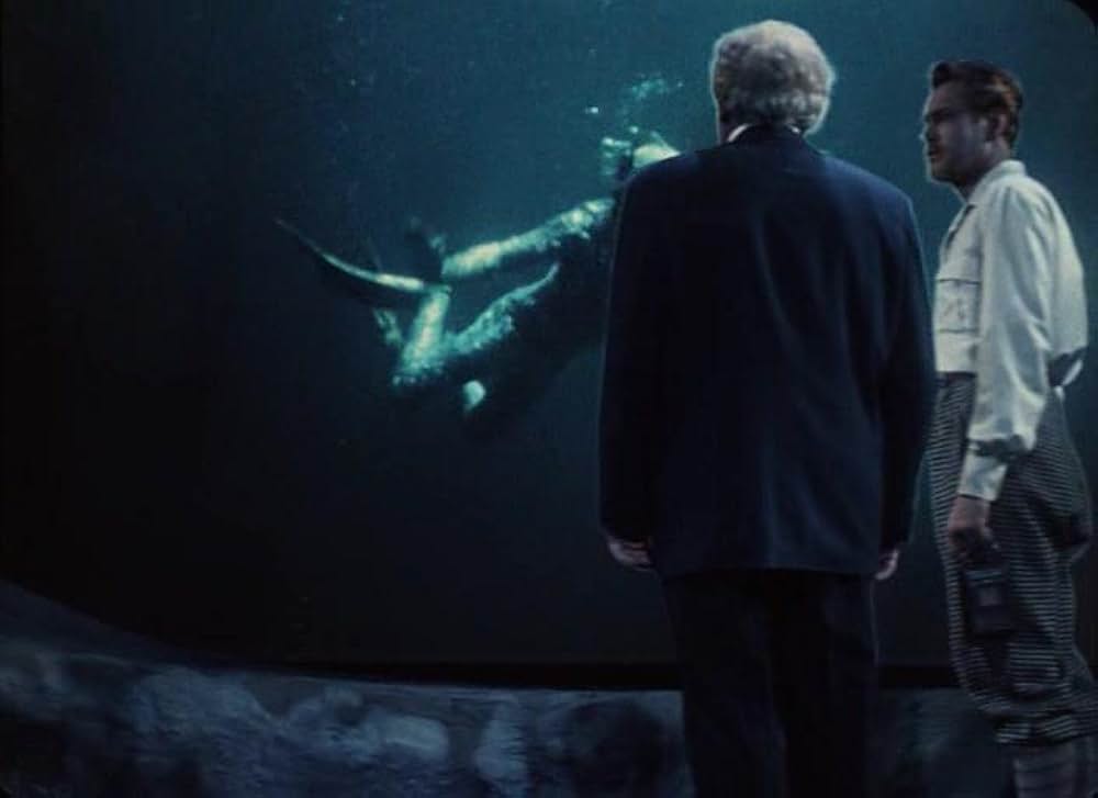 両棲人間の画像