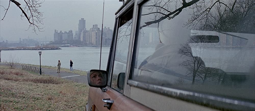 コンドルの画像