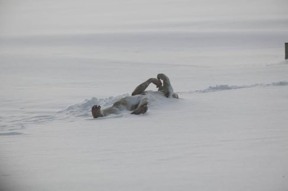 地球が凍りつく日の画像