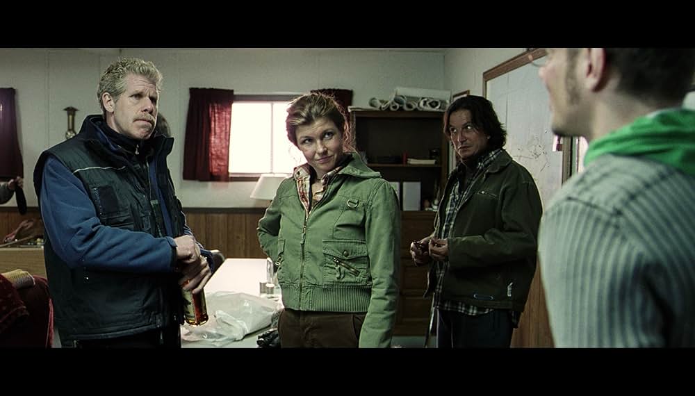 地球が凍りつく日の画像