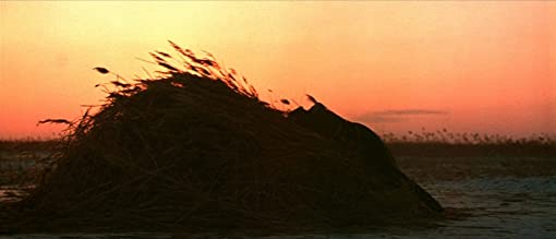 デルス・ウザーラの画像