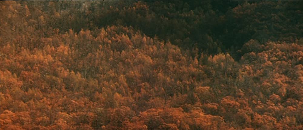 デルス・ウザーラの画像