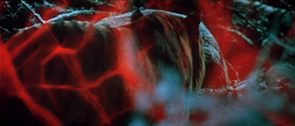 デルス・ウザーラの画像