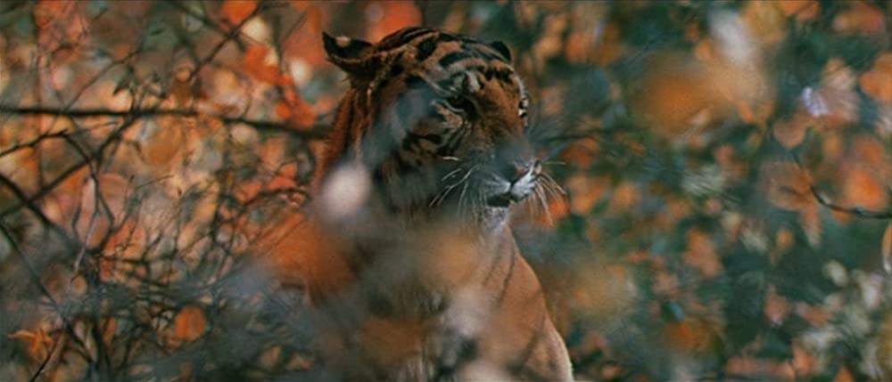 デルス・ウザーラの画像