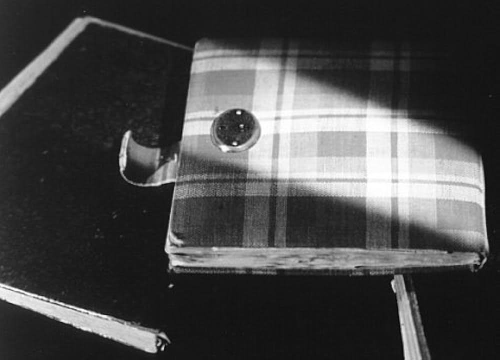 アンネ・フランク・リメンバード（原題）の画像