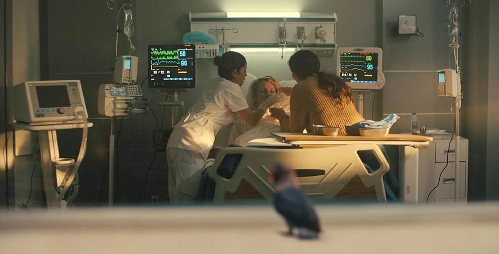 サイレントナイトの画像