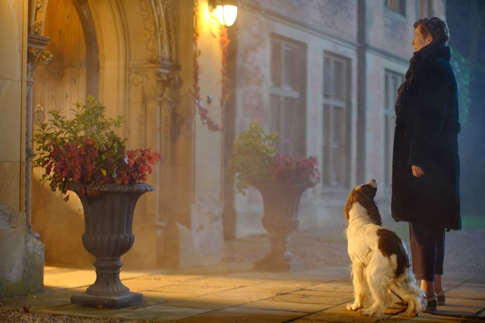 エターナル・ドーターの画像