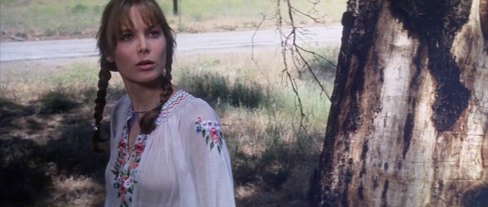 いくたびか美しく燃えの画像