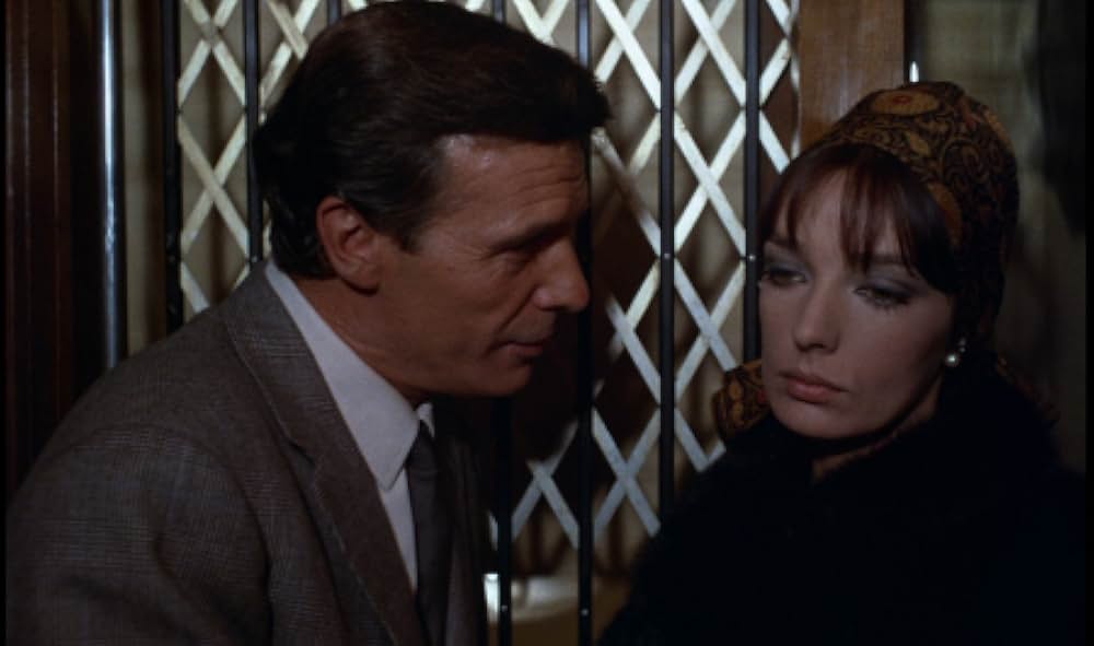 ジャガーの眼の画像