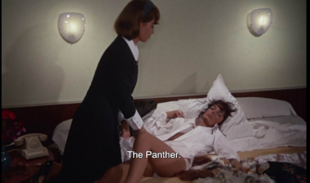 ジャガーの眼の画像