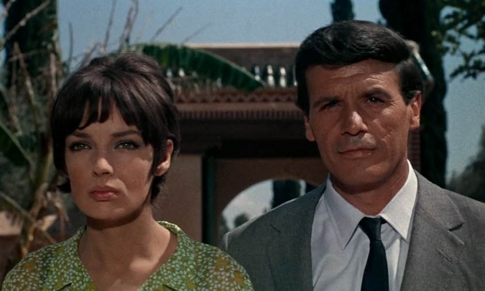 ジャガーの眼の画像