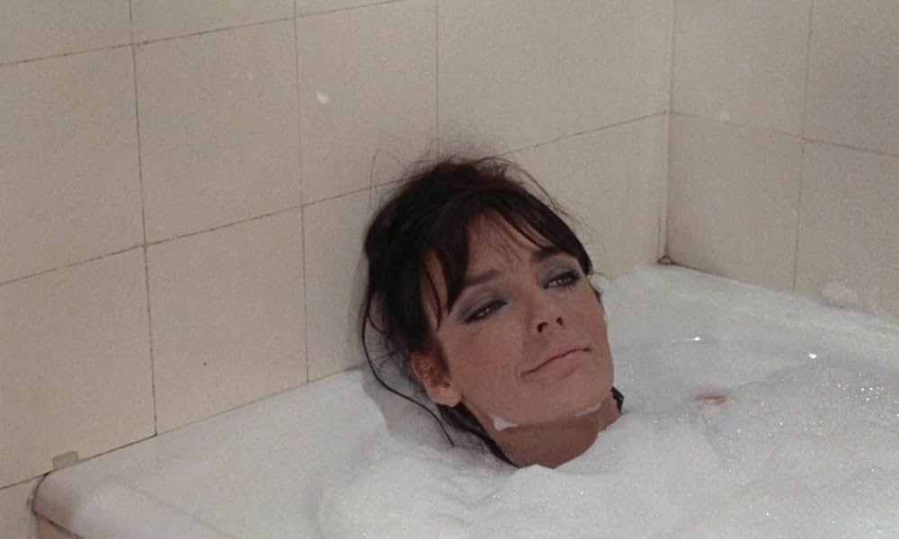 ジャガーの眼の画像