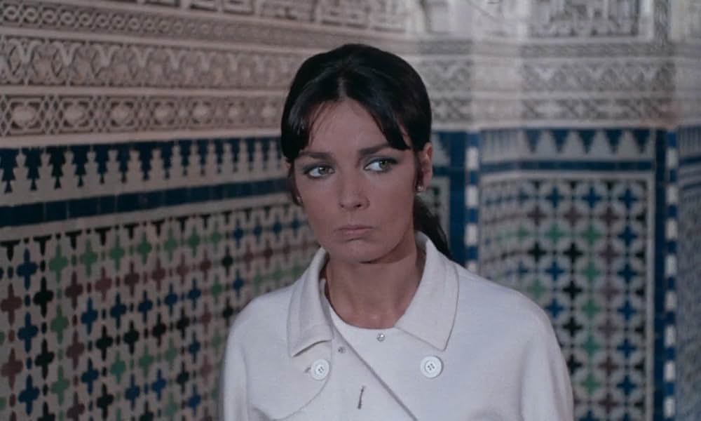 ジャガーの眼の画像