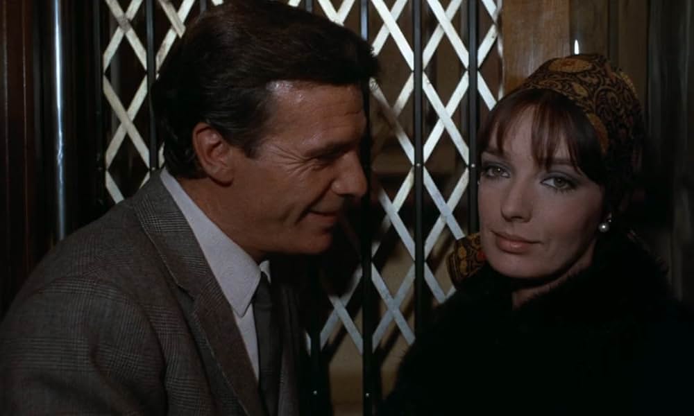 ジャガーの眼の画像