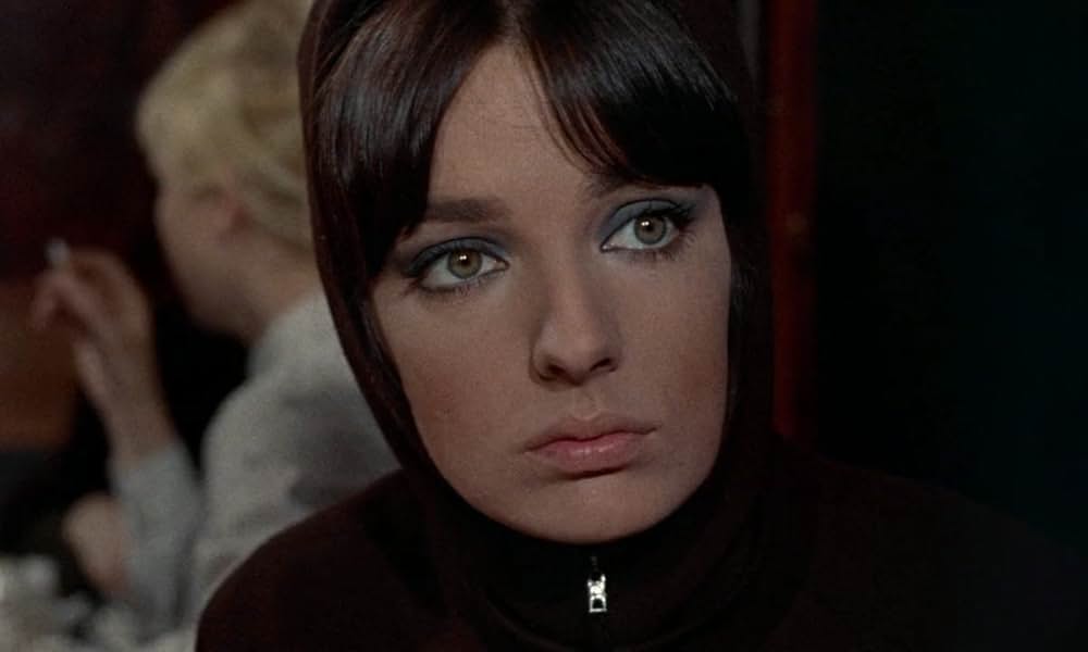 ジャガーの眼の画像