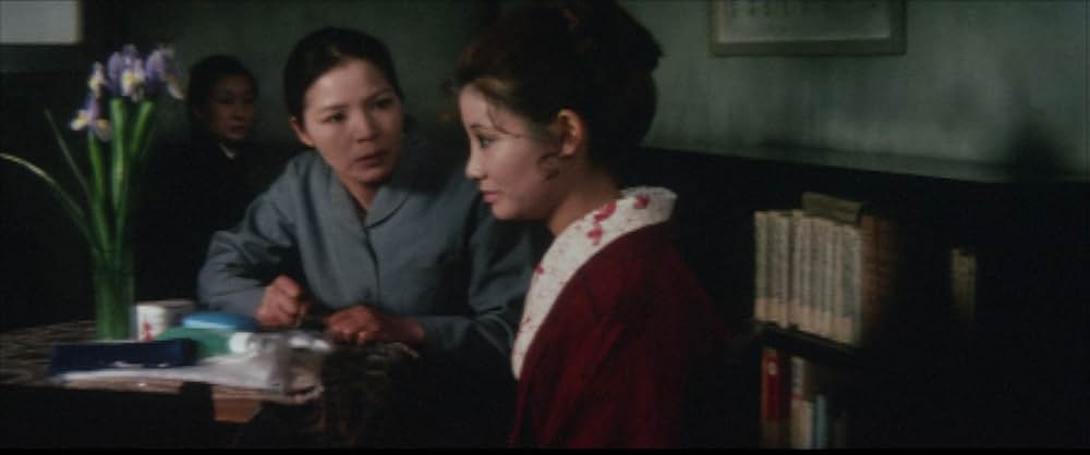 でんきくらげの画像