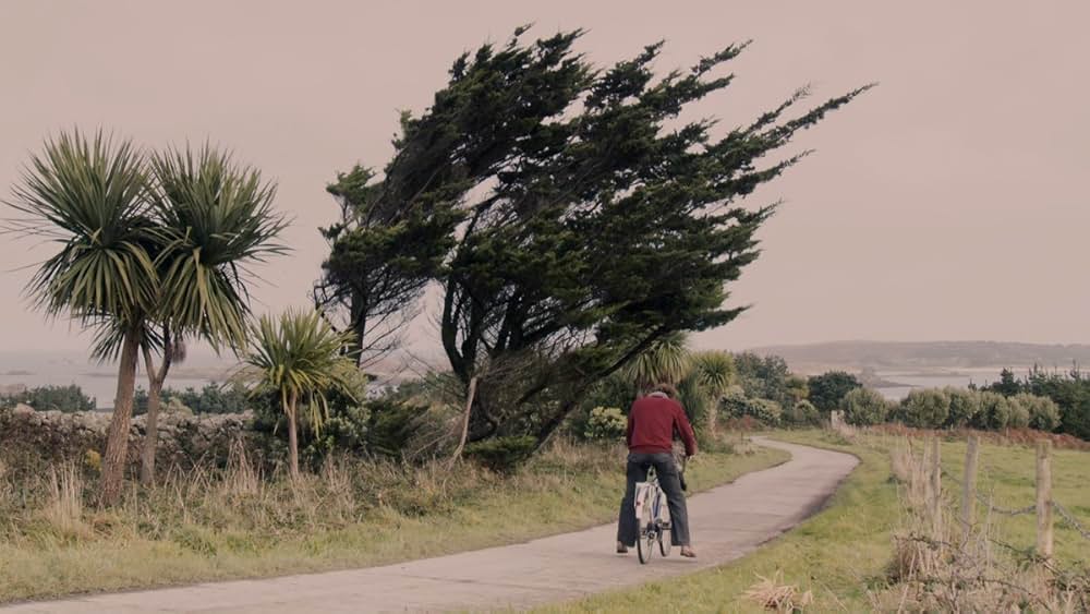 家族の波紋の画像