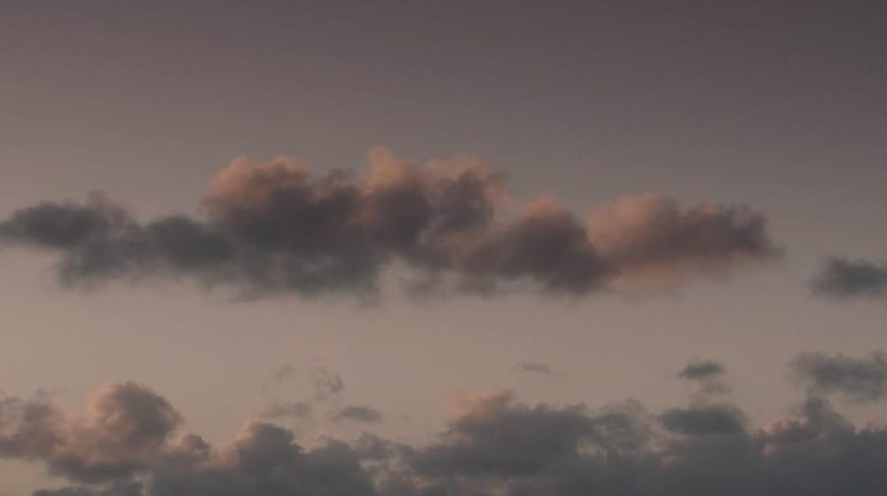 家族の波紋の画像