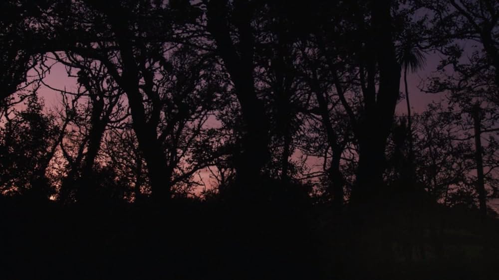 家族の波紋の画像