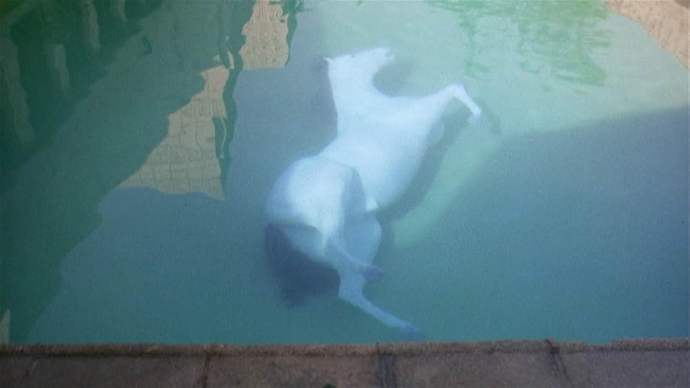 「イナゴの日」の画像