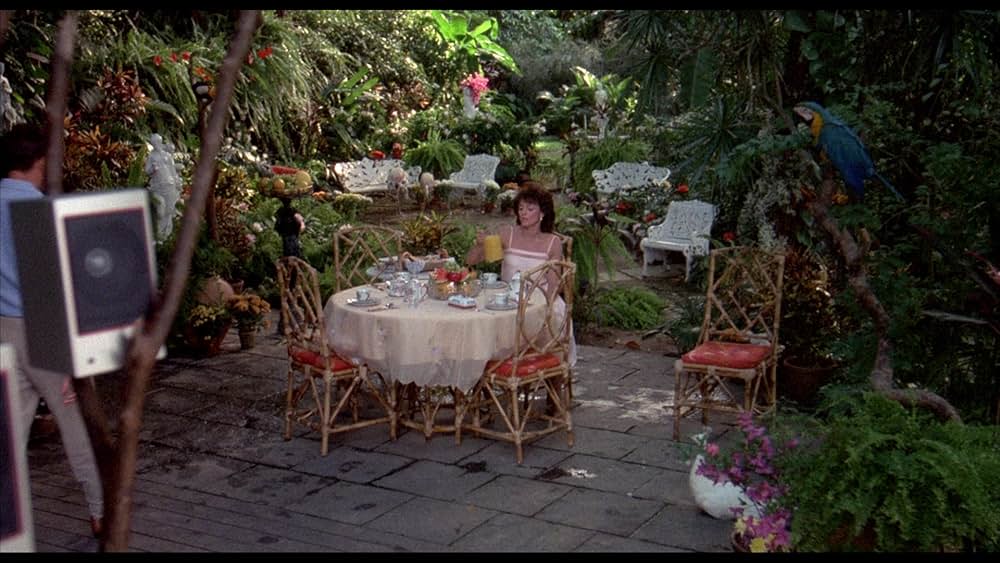 アバンチュール・イン・リオの画像