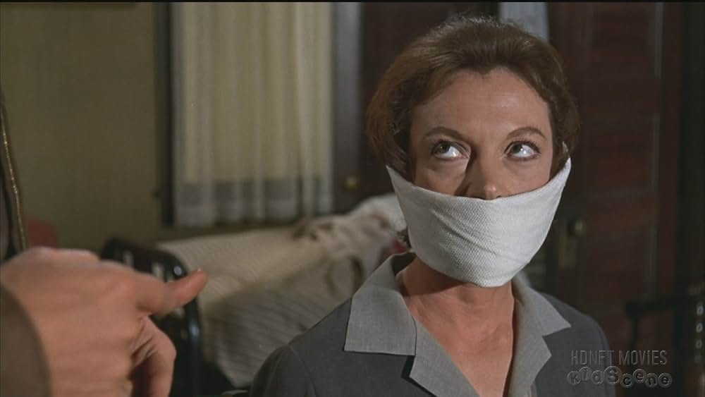 シャム猫FBI／ニャンタッチャブルの画像