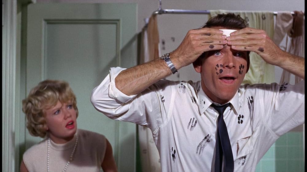 シャム猫FBI／ニャンタッチャブルの画像