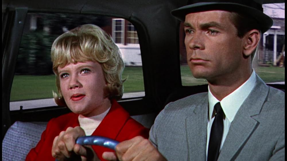 シャム猫FBI／ニャンタッチャブルの画像