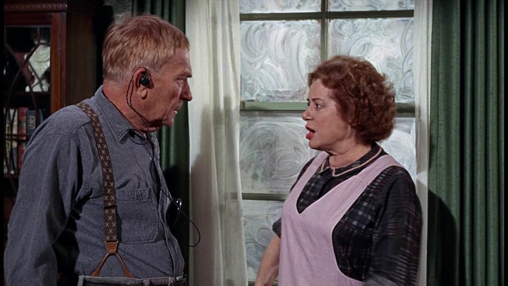 シャム猫FBI／ニャンタッチャブルの画像