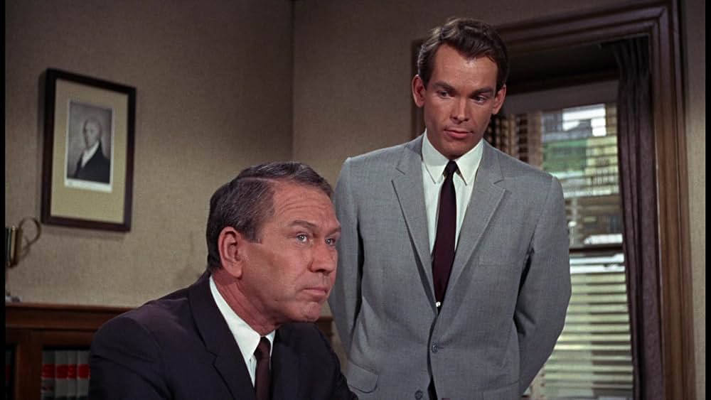 シャム猫FBI／ニャンタッチャブルの画像