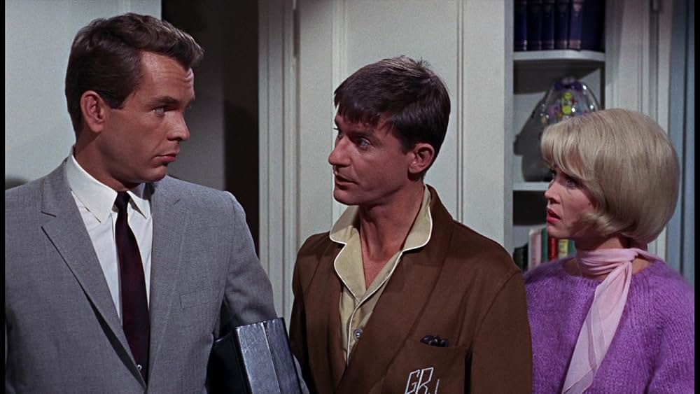 シャム猫FBI／ニャンタッチャブルの画像