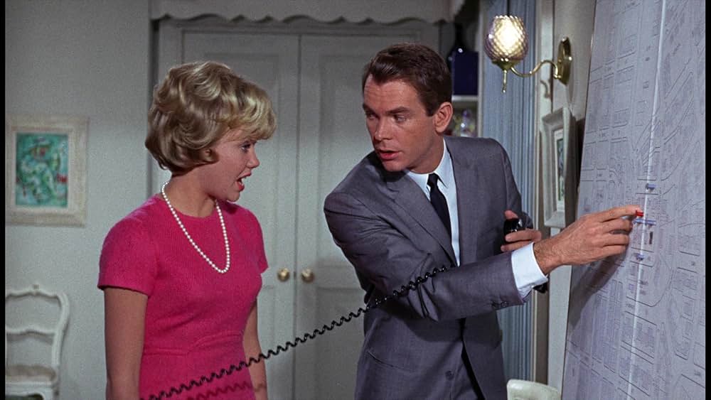 シャム猫FBI／ニャンタッチャブルの画像