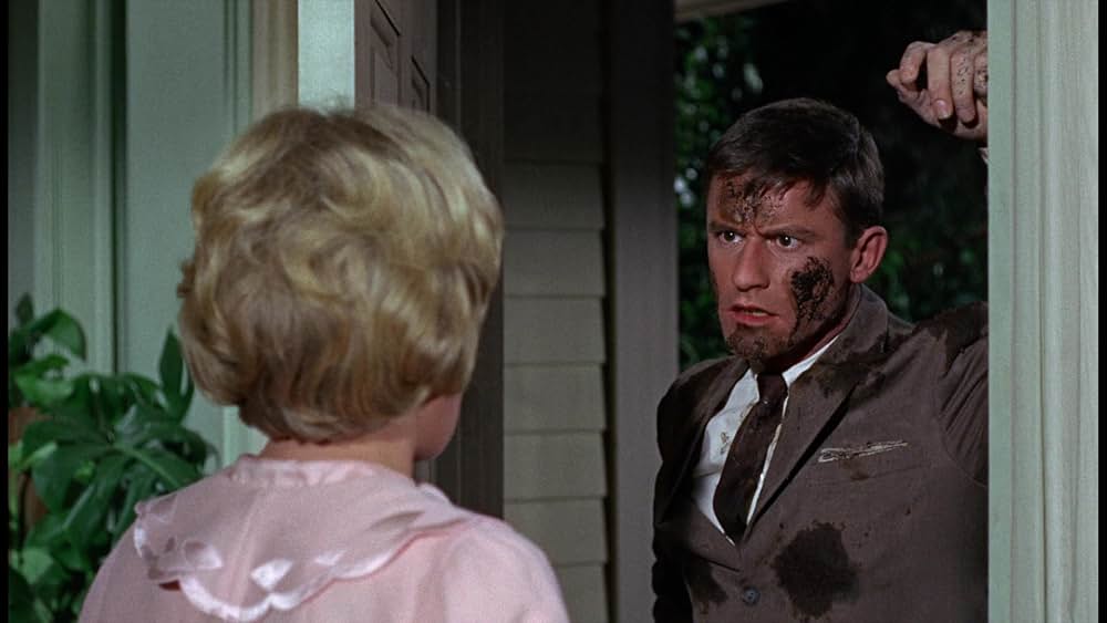 シャム猫FBI／ニャンタッチャブルの画像