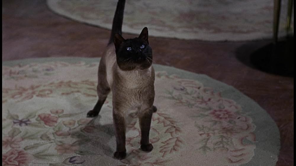 シャム猫FBI／ニャンタッチャブルの画像