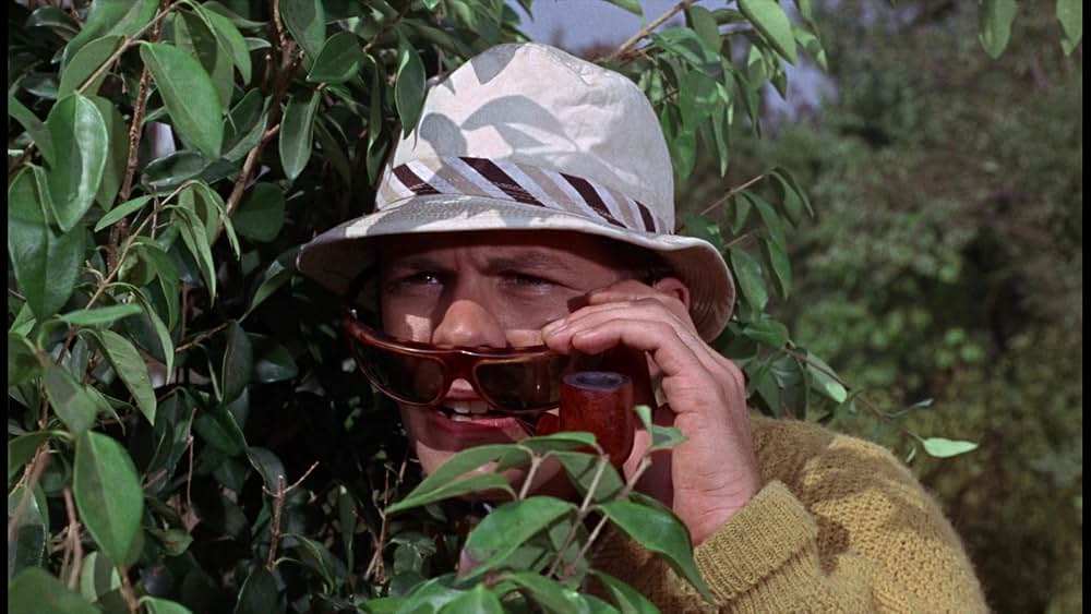 シャム猫FBI／ニャンタッチャブルの画像